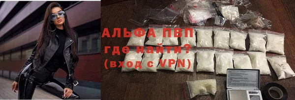 прущие грибы Надым
