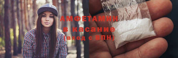 прущие грибы Надым