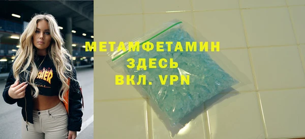 прущие грибы Надым