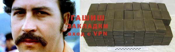 прущие грибы Надым