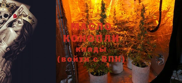 прущие грибы Надым