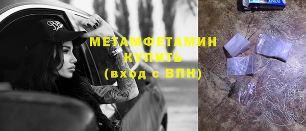 прущие грибы Надым