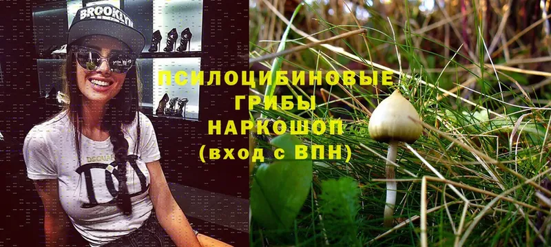 Галлюциногенные грибы MAGIC MUSHROOMS  хочу наркоту  Комсомольск 