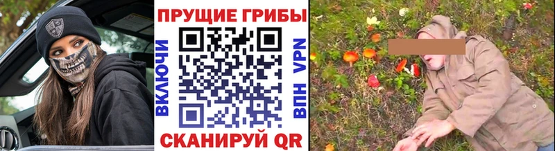 блэк спрут рабочий сайт  Комсомольск  Псилоцибиновые грибы Magic Shrooms 