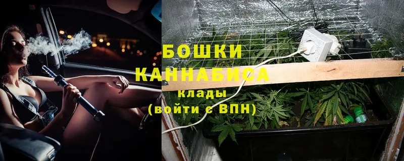 кракен ТОР  Комсомольск  darknet наркотические препараты  хочу   Конопля OG Kush 